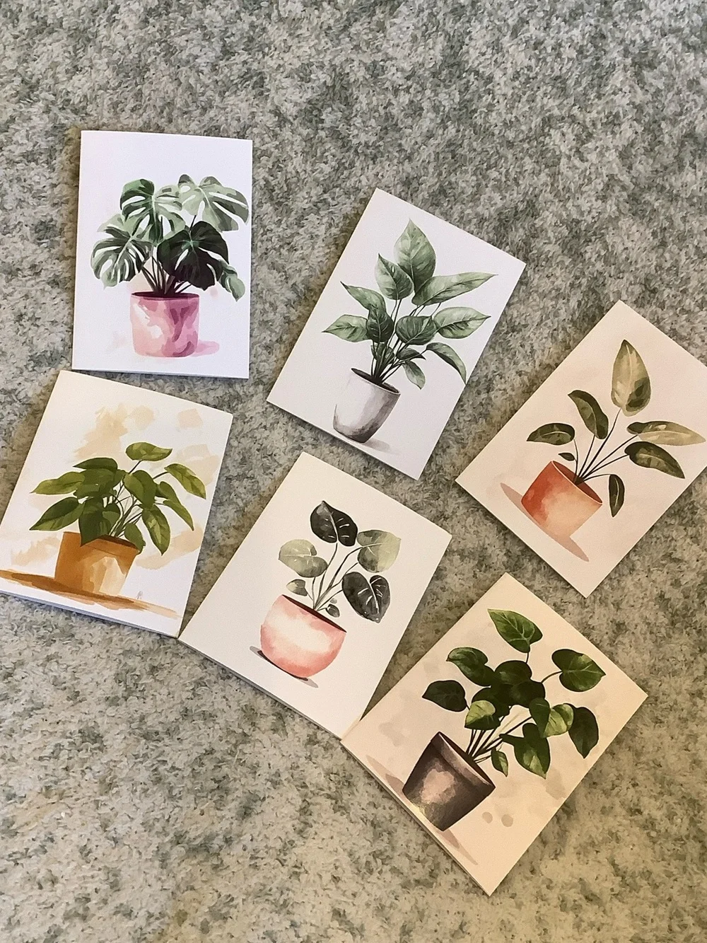 Potted Tropical Plants Note Cards Variety Pack Set of 6 Blank inside NWT HC